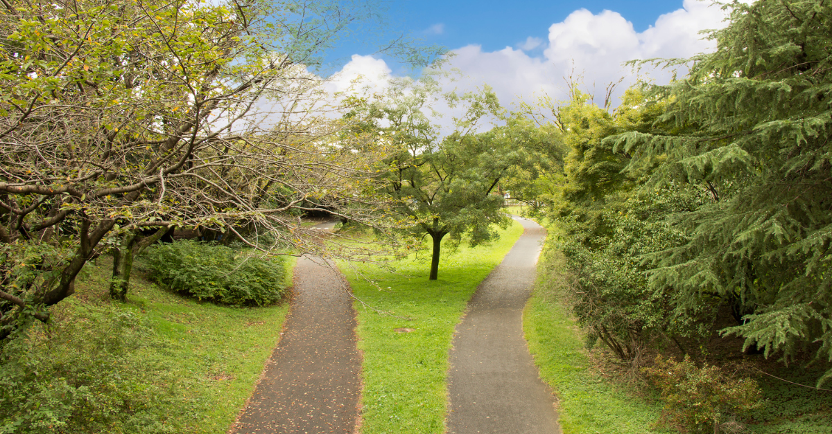 Choosing the right path for your software migration.